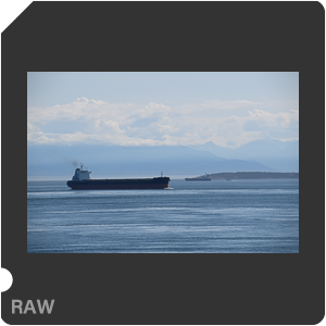 Камера Nikon D6 с объективом AF-S Nikkor 120-300mm f/2.8E FL ED SR VR. Примеры RAW файлов