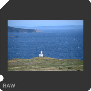 Камера Nikon D6 с объективом AF-S Nikkor 120-300mm f/2.8E FL ED SR VR. Примеры RAW файлов