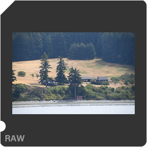 Камера Nikon D6 с объективом AF-S Nikkor 120-300mm f/2.8E FL ED SR VR. Примеры RAW файлов