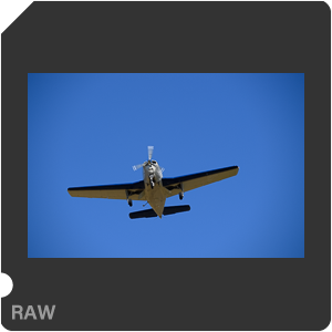 Камера Nikon D6 с объективом AF-S Nikkor 120-300mm f/2.8E FL ED SR VR. Примеры RAW файлов