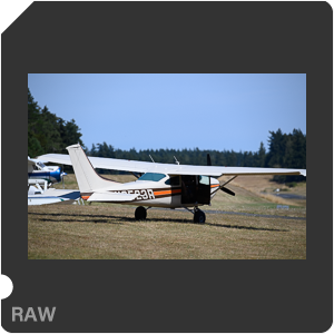 Камера Nikon D6 с объективом AF-S Nikkor 120-300mm f/2.8E FL ED SR VR. Примеры RAW файлов