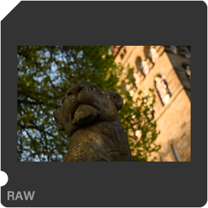 Камера Nikon D500 с объективом AF-S DX Nikkor 16-80mm f/2.8-4E ED VR. Примеры RAW файлов