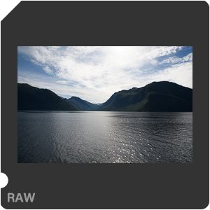 Камера Nikon D7500 с объективом AF-S DX Nikkor 16-80mm f/2.8-4E ED VR. Примеры RAW файлов