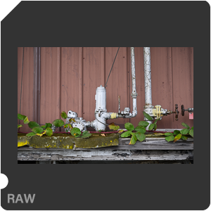 Камера Nikon Z 6II с объективом Nikkor Z 24-70mm f/4 S. Примеры RAW файлов