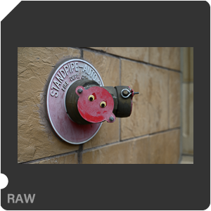 Камера Nikon Z 6II с объективом Nikkor Z 24-70mm f/4 S. Примеры RAW файлов