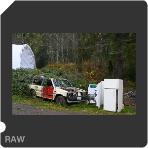 Камера Nikon Z 6II с объективом Nikkor Z 24-70mm f/4 S. Примеры RAW файлов