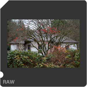 Камера Nikon Z 6II с объективом Nikkor Z 24-70mm f/4 S. Примеры RAW файлов