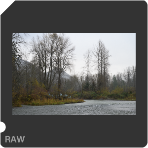 Камера Nikon Z 6II с объективом Nikkor Z 24-70mm f/4 S. Примеры RAW файлов