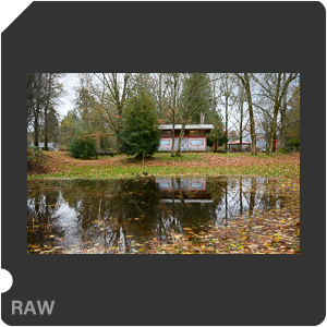 Камера Nikon Z 6II с объективом Nikkor Z 24-70mm f/4 S. Примеры RAW файлов