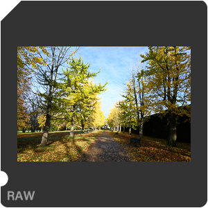 Камера Nikon D с объективом Nikkor Z 14-24mm f/2.8 S. Примеры RAW файлов