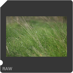RAW sample