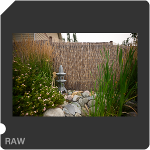 Nikon Z 7II Camera with Nikkor Z 14-24mm f/2.8 S. Examples of RAW files