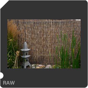 Nikon Z 7II Camera with Nikkor Z 14-24mm f/2.8 S. Examples of RAW files