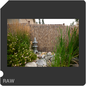 Nikon Z 7II Camera with Nikkor Z 14-24mm f/2.8 S. Examples of RAW files