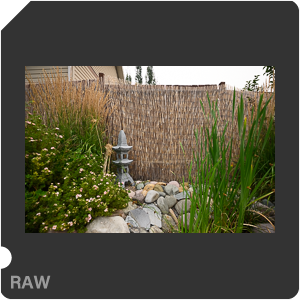 Nikon Z 7II Camera with Nikkor Z 14-24mm f/2.8 S. Examples of RAW files