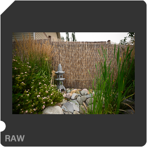 Nikon Z 7II Camera with Nikkor Z 14-24mm f/2.8 S. Examples of RAW files