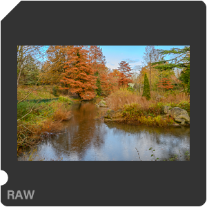 Nikon Z f Camera with Nikkor Z 40mm f/2.0. Examples of RAW files