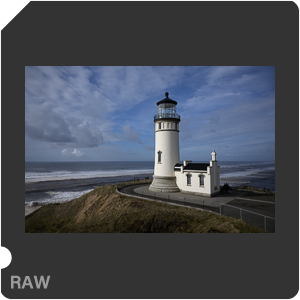 Nikon Z 9 Camera with Nikkor Z 26mm f/2.8. Examples of RAW files