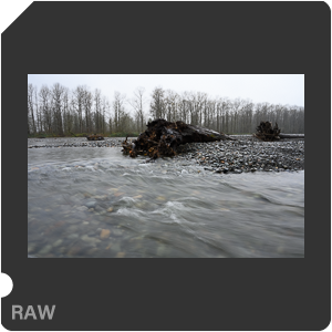 Камера Nikon Z 6II с объективом Nikkor Z 24-70mm f/4 S. Примеры RAW файлов