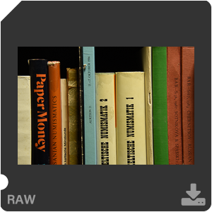 Камера Nikon D7500 с AF-S DX Nikkor 18-300mm f/3.5-5.6G ED VR. Примеры RAW файлов