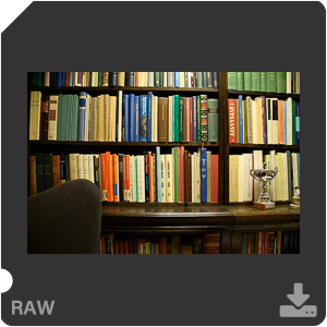 Камера Nikon D7500 с AF-S DX Nikkor 18-300mm f/3.5-5.6G ED VR. Примеры RAW файлов