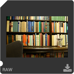 Камера Nikon D7500 с AF-S DX Nikkor 18-300mm f/3.5-5.6G ED VR. Примеры RAW файлов