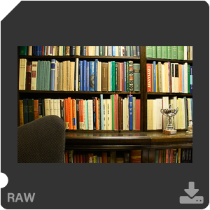 Камера Nikon D7500 с AF-S DX Nikkor 18-300mm f/3.5-5.6G ED VR. Примеры RAW файлов