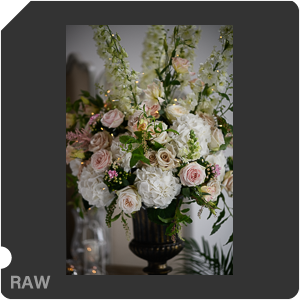 Камера Nikon D с объективом AF-S Nikkor 105 mm f/1.4E ED. Примеры RAW файлов