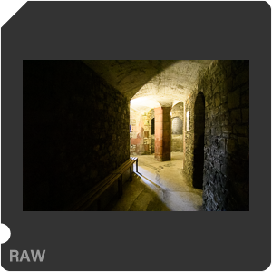 Камера Nikon D5 с объективом AF-S Zoom-Nikkor 24-85mm f/3.5-4.5G IF-ED. Примеры RAW файлов