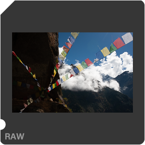 RAW sample