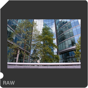 Камера Nikon D3400 с объективом AF-P DX Nikkor 18-55mm f/3.5-5.6G. Примеры RAW файлов