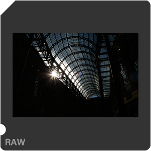 Камера Nikon D3500 с объективом AF-P DX Nikkor 18-55mm F/3.5-5.6G VR. Примеры RAW файлов