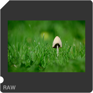 RAW sample