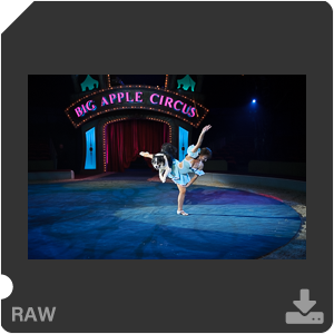 Камера Nikon D3s с объективом AF-S Nikkor 24-70mm f/2.8G ED. Примеры RAW файлов