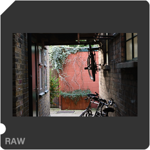 Камера Nikon D5300 с объективом AF-S DX Nikkor 18-55mm f/3.5-5.6G VR. Примеры RAW файлов