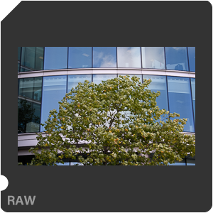 Камера Nikon D3400 с объективом AF-P DX Nikkor 18-55mm f/3.5-5.6G. Примеры RAW файлов