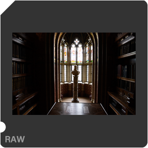 Камера Nikon D5 с объективом AF-S Zoom-Nikkor 24-85mm f/3.5-4.5G IF-ED. Примеры RAW файлов