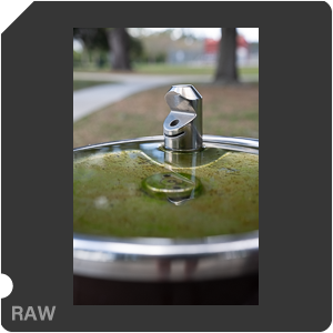 Nikon Z 8 + Nikkor Z 24-70mm f/2.8 S II. Examples of RAW files