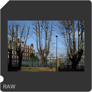 Камера Nikon Df с объективом AF-S Nikkor 85 mm f/1.8G. Примеры RAW файлов