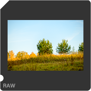 RAW sample