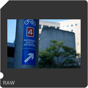 Камера Nikon D3500 с объективом AF-P DX Nikkor 18-55mm F/3.5-5.6G VR. Примеры RAW файлов