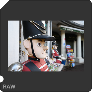 Камера Nikon D с объективом Nikkor Z 14-24mm f/2.8 S. Примеры RAW файлов