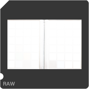 RAW sample