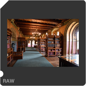 Камера Nikon D5 с объективом AF-S Zoom-Nikkor 24-85mm f/3.5-4.5G IF-ED. Примеры RAW файлов