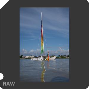 Nikon Z 8 + Nikkor Z 24-70mm f/2.8 S II. Examples of RAW files