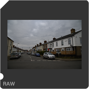 RAW sample