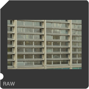 RAW sample