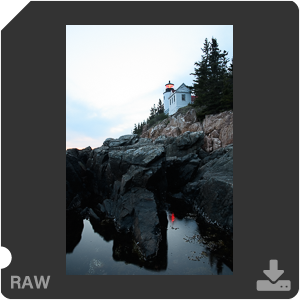 Камера Nikon D500 с объективом AF-S DX Nikkor 16-80mm f/2.8-4E ED VR. Примеры RAW файлов