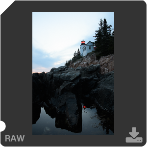 Камера Nikon D500 с объективом AF-S DX Nikkor 16-80mm f/2.8-4E ED VR. Примеры RAW файлов