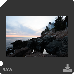 Камера Nikon D500 с объективом AF-S DX Nikkor 16-80mm f/2.8-4E ED VR. Примеры RAW файлов